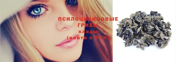spice Беломорск