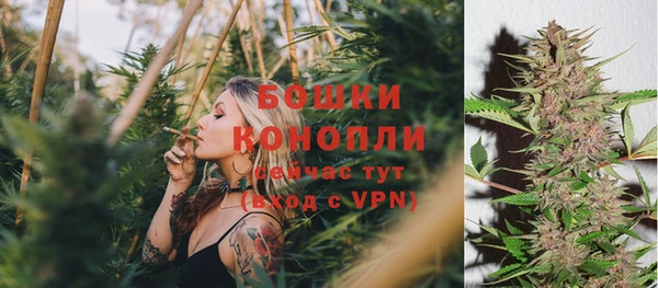 дурь Белоозёрский