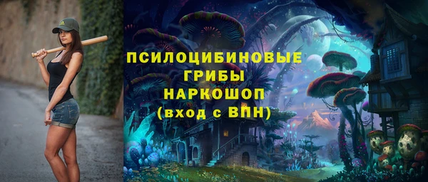прущие грибы Семикаракорск