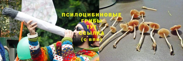 MDMA Premium VHQ Белокуриха