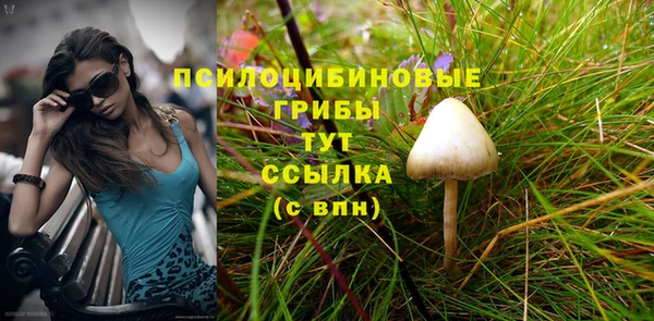 MDMA Premium VHQ Белокуриха