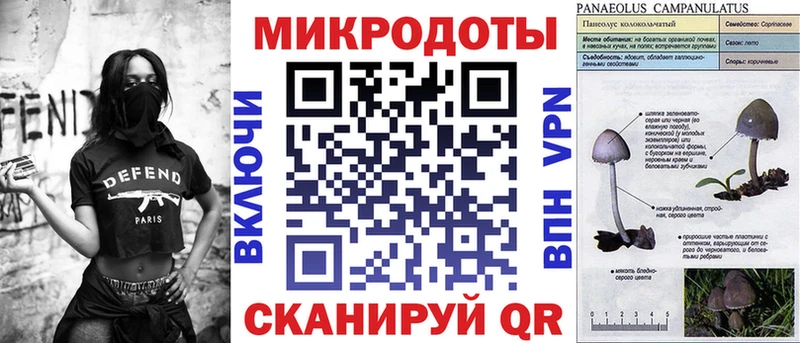 Галлюциногенные грибы Psilocybine cubensis  Вытегра 