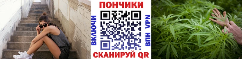 Бошки Шишки марихуана  Вытегра 